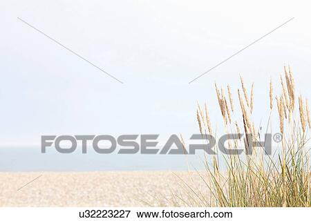 Deserted beach View Large Photo Image Stock Photo - Deserted beach. Fotosearch