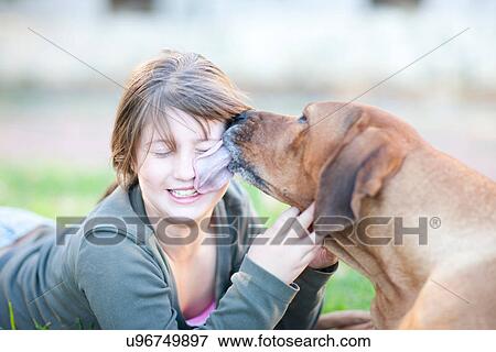 Dog licking girl's face View Large Photo Image Stock Photo - Dog licking girl's face. Fotosearch