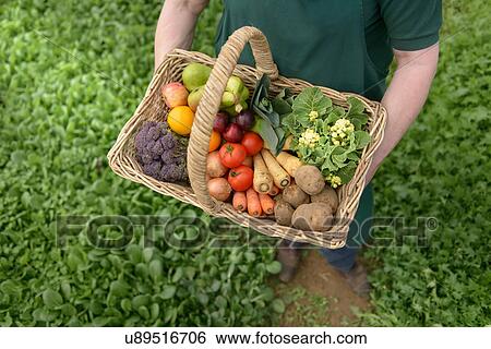 Stock Photograph - Farmer carrying organic vegetables in basket for delivery, close up. Fotosearch