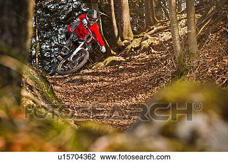 Man mountain biking through forest View Large Photo Image Stock Image - Man mountain biking through forest. Fotosearch
