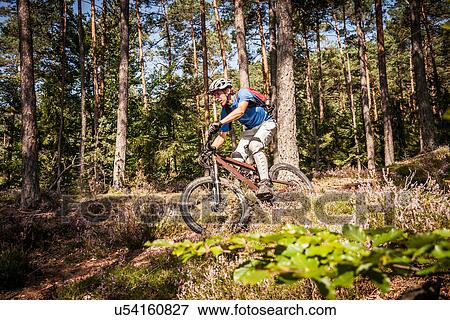 Man mountain biking through forest View Large Photo Image Stock Photo - Man mountain biking through forest. Fotosearch