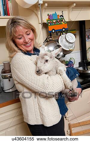 Mature woman holding lamb in rustic kitchen View Large Photo Image Stock Photography - Mature woman holding lamb in rustic kitchen. Fotosearch