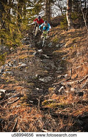 Stock Photograph - Men mountain biking through forest. Fotosearch
