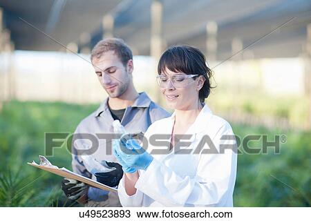 Stock Image - Scientist and worker in plant nursery, looking at bottles. Fotosearch