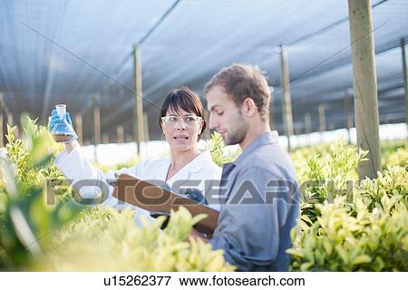Stock Photo - Scientist and worker in plant nursery. Fotosearch