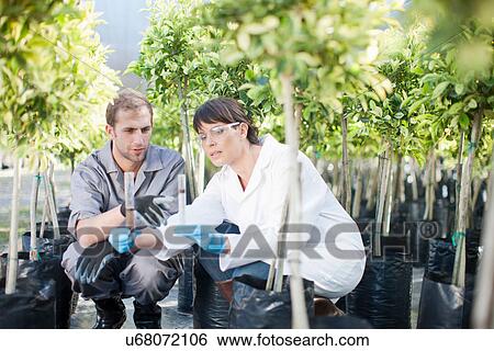 Scientist and worker looking at soil samples View Large Photo Image Stock Photograph - Scientist and worker looking at soil samples. Fotosearch