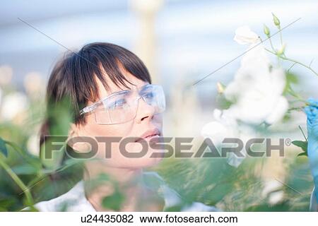 Stock Image - Scientist looking at plants. Fotosearch