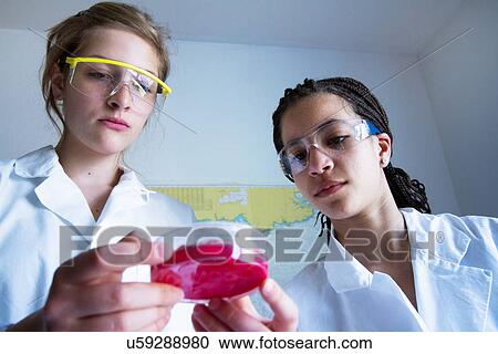 Teenage girls looking at petri dish View Large Photo Image Stock Image - Teenage girls looking at petri dish. Fotosearch