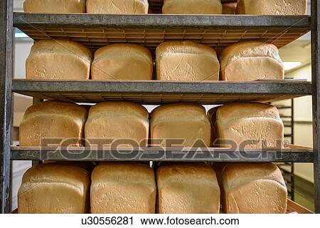 Stock Image - Trays of freshly baked bread in row. Fotosearch