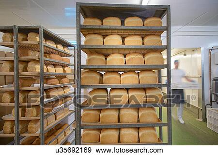 Trays of freshly baked bread in row View Large Photo Image Stock Photo - Trays of freshly baked bread in row. Fotosearch