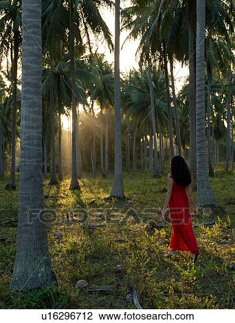 Stock Image - Woman wearing red dress walking in forest of palm trees. Fotosearch