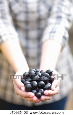 Stock Image - Woman with handfull of olives. Fotosearch