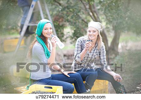 Stock Image - Women sitting on crates taking a break in olive grove. Fotosearch