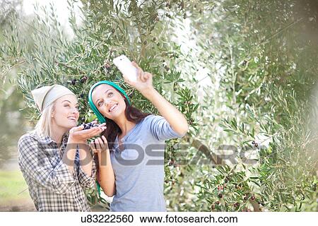 Stock Image - Women taking photo of themselves in olive grove. Fotosearch
