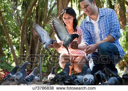 Stock Photo - Young couple looking at pigeons in park. Fotosearch