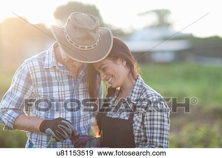 Young couple looking at vegetables on farm View Large Photo Image Stock Photo - Young couple looking at vegetables on farm. Fotosearch