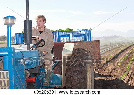 Young man driving tractor View Large Photo Image Stock Image - Young man driving tractor. Fotosearch