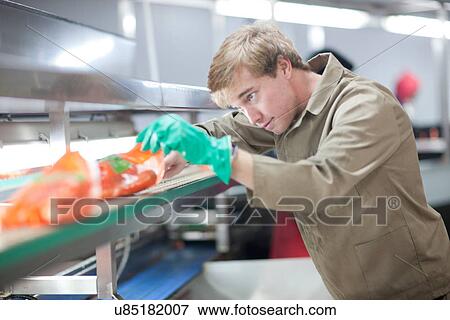 Stock Photo - Young man filling bags with potatoes. Fotosearch