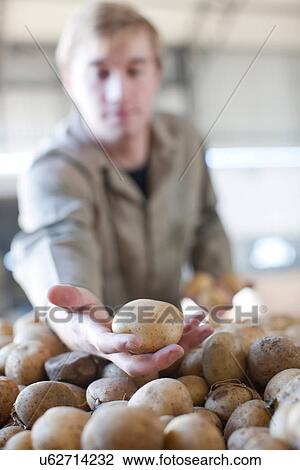Stock Image - Young man holding potato. Fotosearch