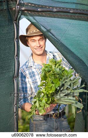 Stock Photo - Young man with vegetables grown on farm. Fotosearch