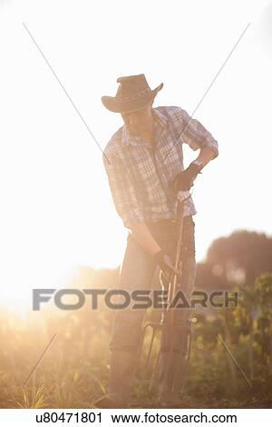 Young man working on farm in sunlight View Large Photo Image Stock Image - Young man working on farm in sunlight. Fotosearch