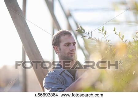 Young man working with plants View Large Photo Image Picture - Young man working with plants. Fotosearch