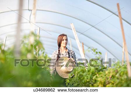 Stock Image - Young woman in vegetable greenhouse. Fotosearch