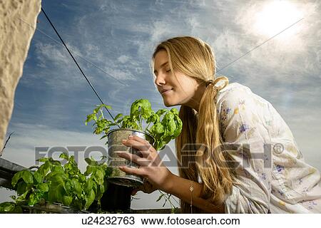 Young woman smelling plant View Large Photo Image Stock Image - Young woman smelling plant. Fotosearch