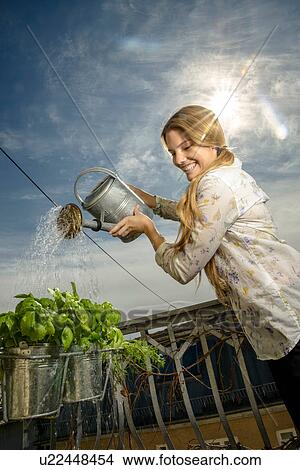 Young woman watering plants View Large Photo Image Picture - Young woman watering plants. Fotosearch