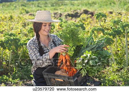 Stock Image - Young woman with vegetables grown at farm. Fotosearch