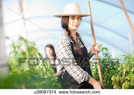 Young woman working in vegetable greenhouse View Large Photo Image Picture - Young woman working in vegetable greenhouse. Fotosearch