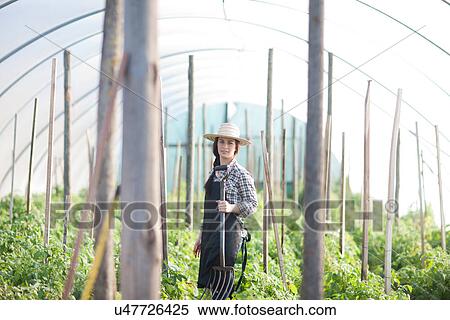 Stock Photography - Young woman working in vegetable greenhouse. Fotosearch