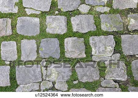 Close-up view of Stone Path with grass growing through View Large Photo Image Picture - Close-up view of Stone Path with grass growing through. Fotosearch