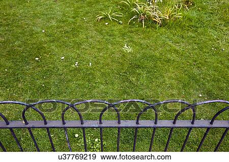 Stock Photo - Grass behind small fence. Fotosearch