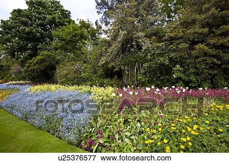 Stock Photo - Large flower bed and trees . Fotosearch