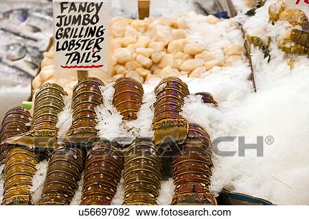 Stock Image - Lobsters on display at fish market. Fotosearch