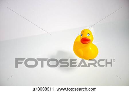 Rubber duck in bathtub View Large Photo Image Stock Image - Rubber duck in bathtub. Fotosearch