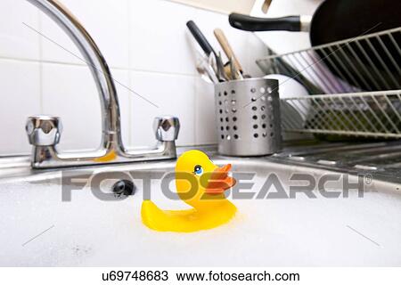 Rubber duck in kitchen sink View Large Photo Image Stock Image - Rubber duck in kitchen sink. Fotosearch