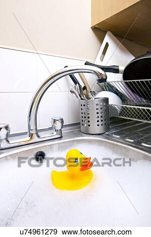 Rubber duck in kitchen sink View Large Photo Image Stock Photo - Rubber duck in kitchen sink. Fotosearch