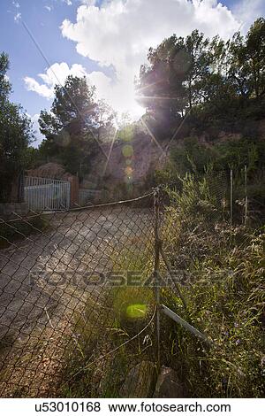Rural road near Puçol Valencia View Large Photo Image Stock Photo - Rural road near Puçol Valencia. Fotosearch