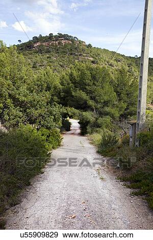 Stock Photo - Rural road near Puçol Valencia. Fotosearch