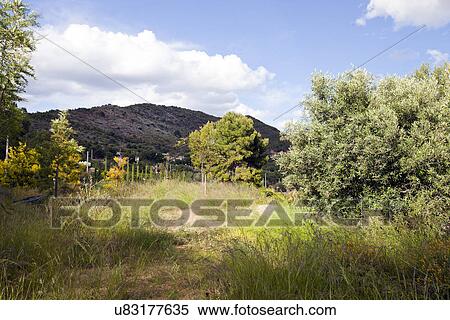 Stock Photography - View of countryside and hills near Puçol Valencia. Fotosearch