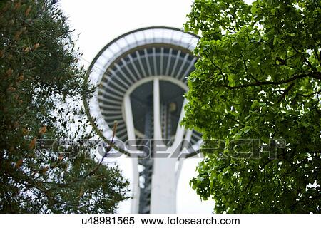 Stock Photography - View through trees of Space Needle. Fotosearch