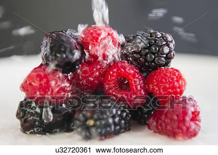 Close up of berries under water splash, studio shot View Large Photo Image Stock Image - Close up of berries under water splash, studio shot. Fotosearch