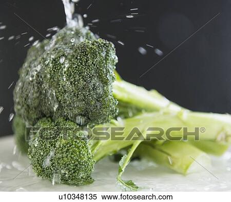 Stock Photography - Close up of broccoli under water splash, studio shot. Fotosearch