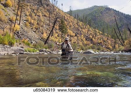 Stock Photo - Fisherman wading in river. Fotosearch