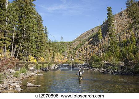 Fisherman wading in river View Large Photo Image Stock Photograph - Fisherman wading in river. Fotosearch