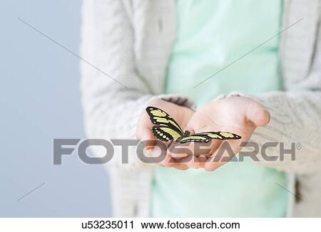 Girl (8-9) holding butterfly View Large Photo Image Stock Image - Girl (8-9) holding butterfly. Fotosearch