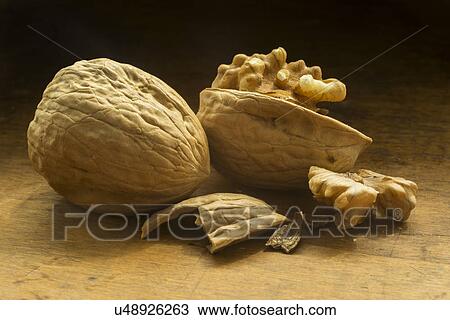 Open walnut View Large Photo Image Stock Image - Open walnut. Fotosearch