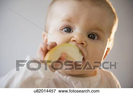 Portrait of baby girl (6-11 months) eating apple View Large Photo Image Stock Photo - Portrait of baby girl (6-11 months) eating apple. Fotosearch
